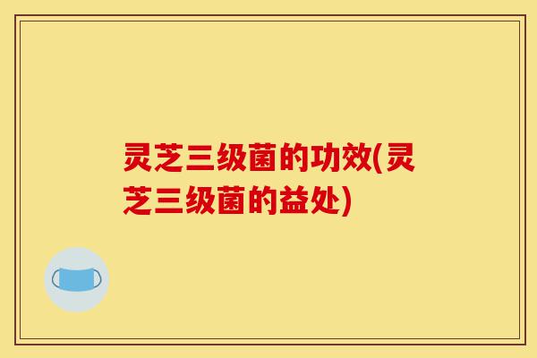 灵芝三级菌的功效(灵芝三级菌的益处)-第1张图片-灵芝之家 灵芝三级菌的功效(灵芝三级菌的益处)-第1张图片-灵芝之家