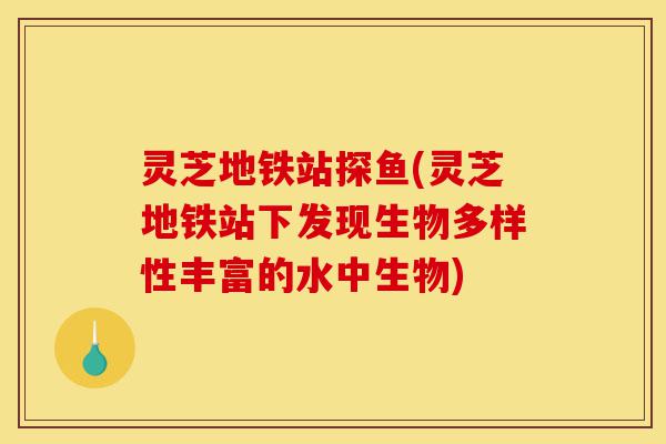 灵芝地铁站探鱼(灵芝地铁站下发现生物多样性丰富的水中生物)-第1张图片-灵芝之家 灵芝地铁站探鱼(灵芝地铁站下发现生物多样性丰富的水中生物)-第1张图片-灵芝之家