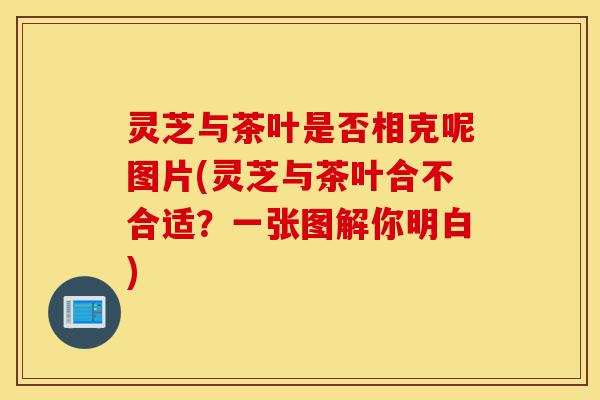灵芝与茶叶是否相克呢图片(灵芝与茶叶合不合适?一张图解你明白)-第1张图片-灵芝之家 灵芝与茶叶是否相克呢图片(灵芝与茶叶合不合适?一张图解你明白)-第1张图片-灵芝之家