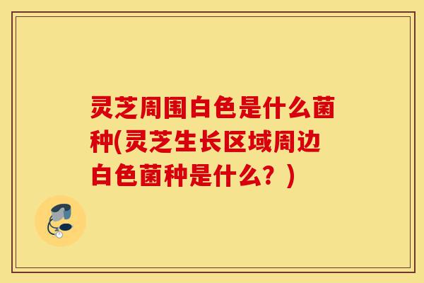 灵芝周围白色是什么菌种(灵芝生长区域周边白色菌种是什么?)-第1张图片-灵芝之家 灵芝周围白色是什么菌种(灵芝生长区域周边白色菌种是什么?)-第1张图片-灵芝之家