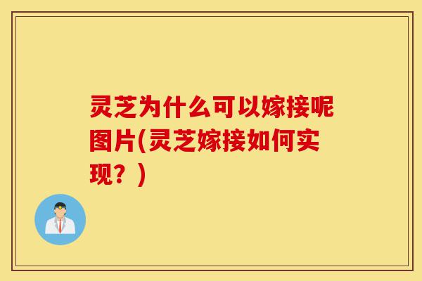 灵芝为什么可以嫁接呢图片(灵芝嫁接如何实现？)-第1张图片-灵芝之家