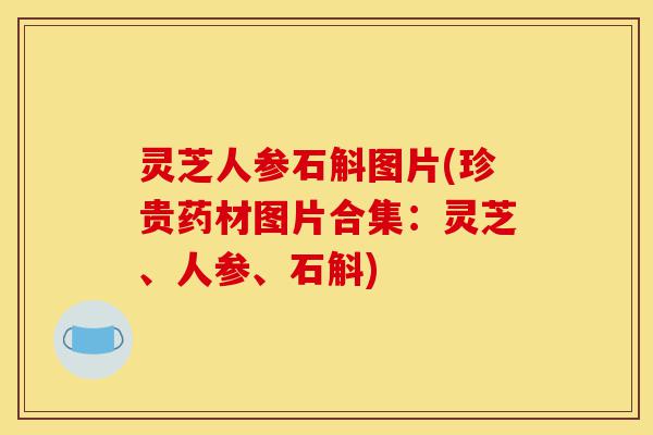 灵芝人参石斛图片(珍贵药材图片合集：灵芝、人参、石斛)-第1张图片-灵芝之家