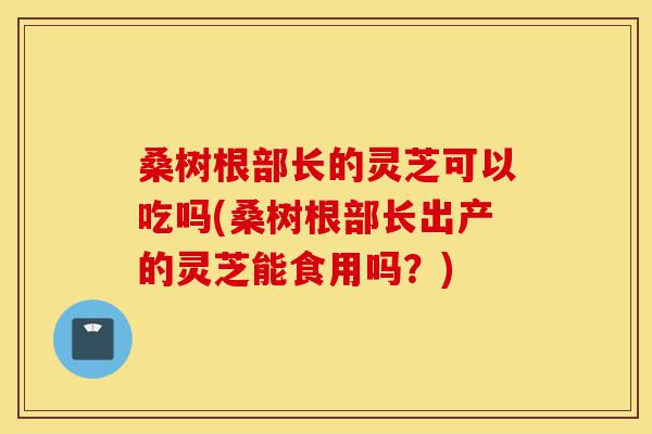 桑树根部长的灵芝可以吃吗(桑树根部长出产的灵芝能食用吗?)-第1张图片-灵芝之家 桑树根部长的灵芝可以吃吗(桑树根部长出产的灵芝能食用吗?)-第1张图片-灵芝之家