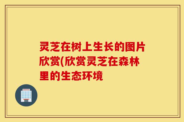 灵芝在树上生长的图片欣赏(欣赏灵芝在森林里的生态环境-第1张图片-灵芝之家 灵芝在树上生长的图片欣赏(欣赏灵芝在森林里的生态环境-第1张图片-灵芝之家