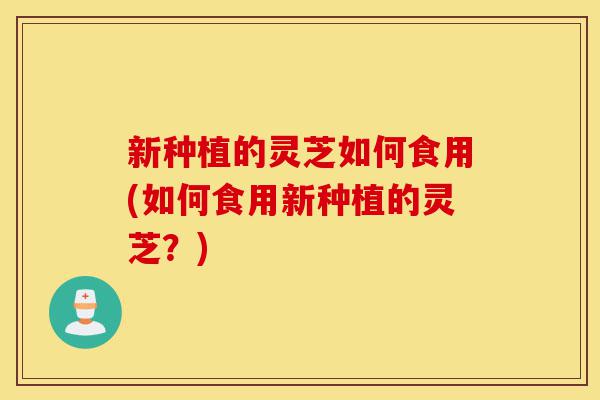 新种植的灵芝如何食用(如何食用新种植的灵芝?)-第1张图片-灵芝之家 新种植的灵芝如何食用(如何食用新种植的灵芝?)-第1张图片-灵芝之家