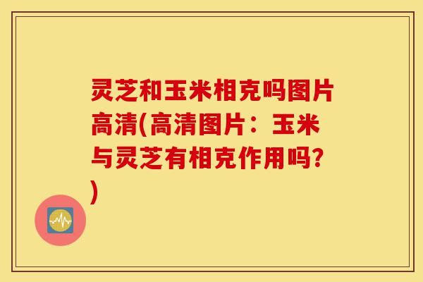 灵芝和玉米相克吗图片高清(高清图片:玉米与灵芝有相克作用吗?)-第1张图片-灵芝之家 灵芝和玉米相克吗图片高清(高清图片:玉米与灵芝有相克作用吗?)-第1张图片-灵芝之家