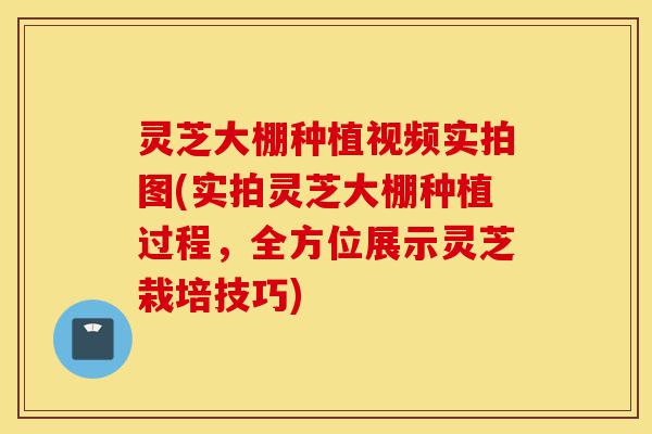 灵芝大棚种植视频实拍图(实拍灵芝大棚种植过程,全方位展示灵芝栽培技巧)-第1张图片-灵芝之家 灵芝大棚种植视频实拍图(实拍灵芝大棚种植过程,全方位展示灵芝栽培技巧)-第1张图片-灵芝之家