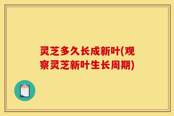 灵芝多久长成新叶(观察灵芝新叶生长周期)-第1张图片-灵芝之家