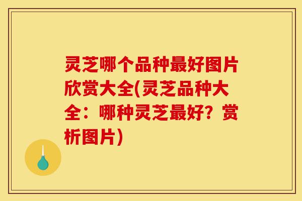 灵芝哪个品种最好图片欣赏大全(灵芝品种大全:哪种灵芝最好?赏析图片)-第1张图片-灵芝之家 灵芝哪个品种最好图片欣赏大全(灵芝品种大全:哪种灵芝最好?赏析图片)-第1张图片-灵芝之家