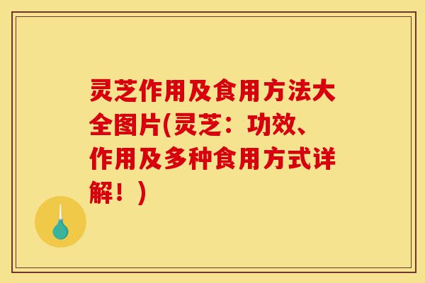 灵芝作用及食用方法大全图片(灵芝:功效、作用及多种食用方式详解!)-第1张图片-灵芝之家 灵芝作用及食用方法大全图片(灵芝:功效、作用及多种食用方式详解!)-第1张图片-灵芝之家