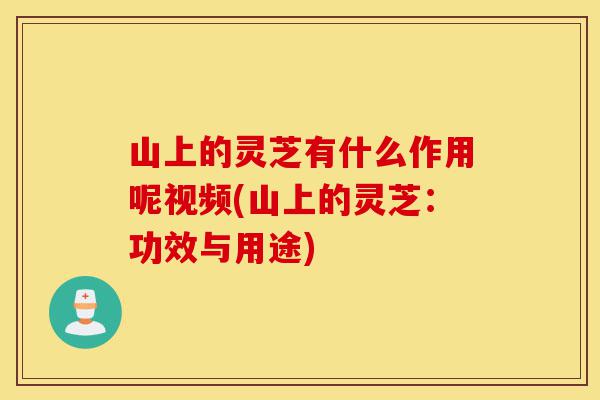 山上的灵芝有什么作用呢视频(山上的灵芝:功效与用途)-第1张图片-灵芝之家 山上的灵芝有什么作用呢视频(山上的灵芝:功效与用途)-第1张图片-灵芝之家
