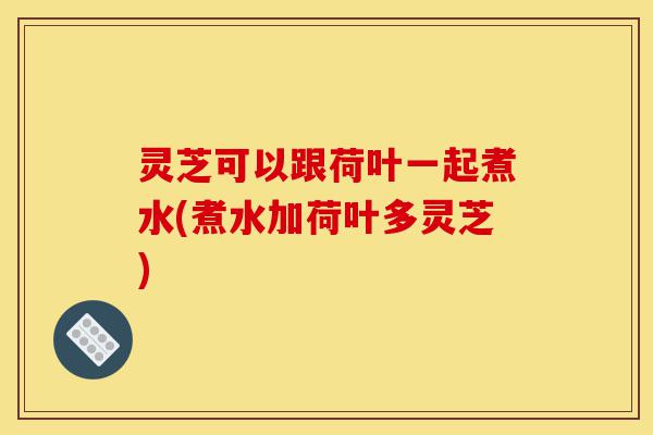 灵芝可以跟荷叶一起煮水(煮水加荷叶多灵芝)-第1张图片-灵芝之家