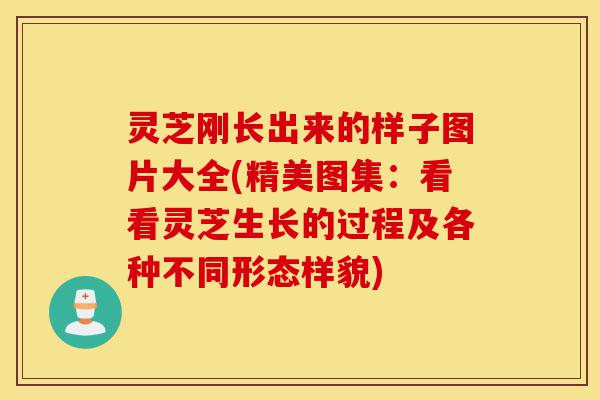 灵芝刚长出来的样子图片大全(精美图集:看看灵芝生长的过程及各种不同形态样貌)-第1张图片-灵芝之家 灵芝刚长出来的样子图片大全(精美图集:看看灵芝生长的过程及各种不同形态样貌)-第1张图片-灵芝之家
