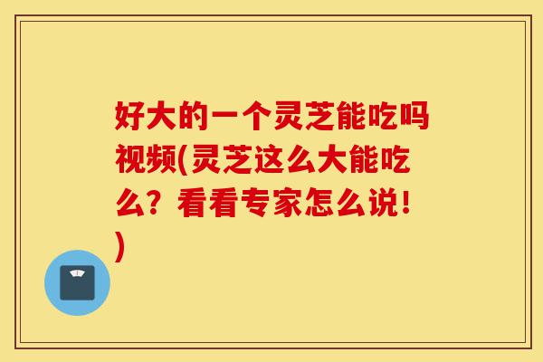 好大的一个灵芝能吃吗视频(灵芝这么大能吃么？看看专家怎么说！)-第1张图片-灵芝之家