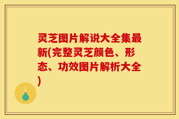 灵芝图片解说大全集最新(完整灵芝颜色、形态、功效图片解析大全)-第1张图片-灵芝之家 灵芝图片解说大全集最新(完整灵芝颜色、形态、功效图片解析大全)-第1张图片-灵芝之家