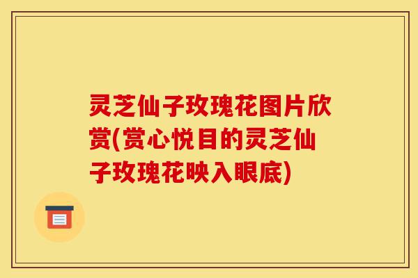 灵芝仙子玫瑰花图片欣赏(赏心悦目的灵芝仙子玫瑰花映入眼底)-第1张图片-灵芝之家 灵芝仙子玫瑰花图片欣赏(赏心悦目的灵芝仙子玫瑰花映入眼底)-第1张图片-灵芝之家