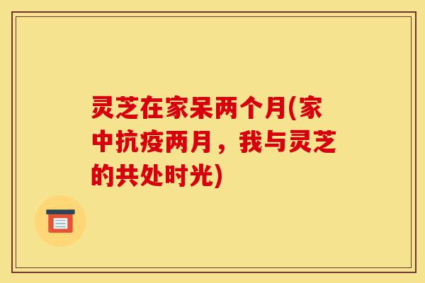 灵芝在家呆两个月(家中抗疫两月，我与灵芝的共处时光)-第1张图片-灵芝之家