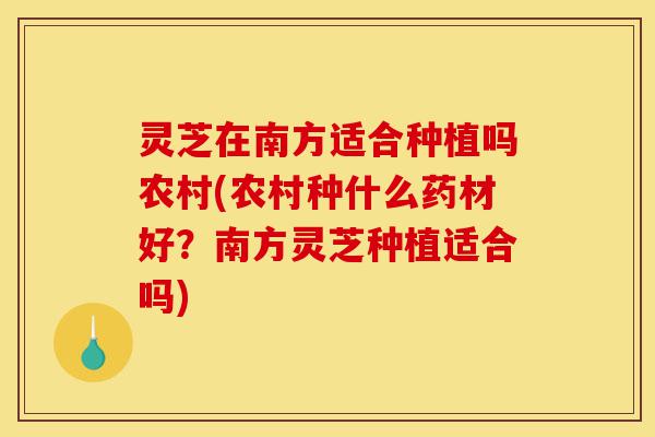 灵芝在南方适合种植吗农村(农村种什么药材好?南方灵芝种植适合吗)-第1张图片-灵芝之家 灵芝在南方适合种植吗农村(农村种什么药材好?南方灵芝种植适合吗)-第1张图片-灵芝之家