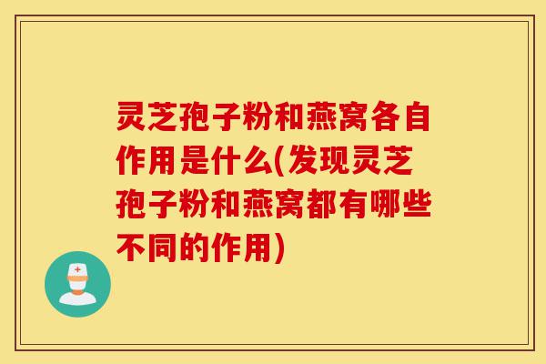 灵芝孢子粉和燕窝各自作用是什么(发现灵芝孢子粉和燕窝都有哪些不同的作用)-第1张图片-灵芝之家 灵芝孢子粉和燕窝各自作用是什么(发现灵芝孢子粉和燕窝都有哪些不同的作用)-第1张图片-灵芝之家