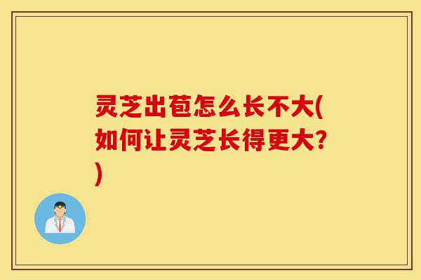 灵芝出苞怎么长不大(如何让灵芝长得更大？)-第1张图片-灵芝之家