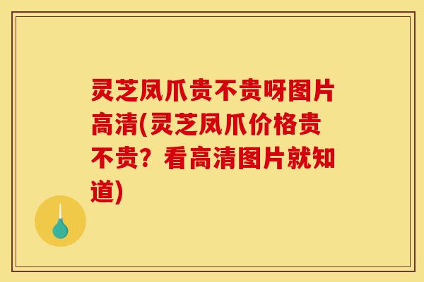 灵芝凤爪贵不贵呀图片高清(灵芝凤爪价格贵不贵?看高清图片就知道)-第1张图片-灵芝之家 灵芝凤爪贵不贵呀图片高清(灵芝凤爪价格贵不贵?看高清图片就知道)-第1张图片-灵芝之家