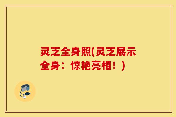 灵芝全身照(灵芝展示全身:惊艳亮相!)-第1张图片-灵芝之家 灵芝全身照(灵芝展示全身:惊艳亮相!)-第1张图片-灵芝之家