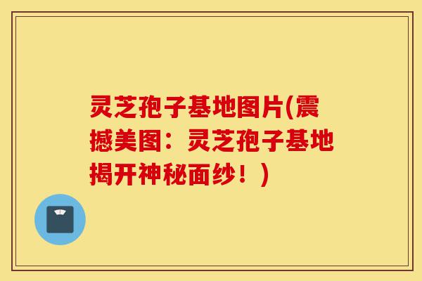灵芝孢子基地图片(震撼美图:灵芝孢子基地揭开神秘面纱!)-第1张图片-灵芝之家 灵芝孢子基地图片(震撼美图:灵芝孢子基地揭开神秘面纱!)-第1张图片-灵芝之家