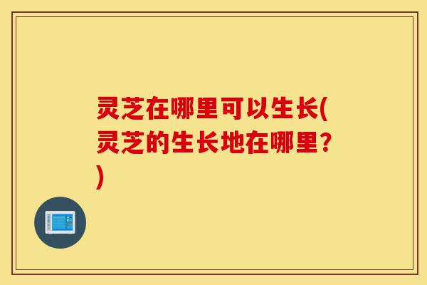 灵芝在哪里可以生长(灵芝的生长地在哪里?)-第1张图片-灵芝之家 灵芝在哪里可以生长(灵芝的生长地在哪里?)-第1张图片-灵芝之家