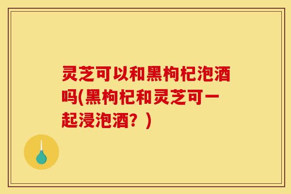 灵芝可以和黑枸杞泡酒吗(黑枸杞和灵芝可一起浸泡酒?)-第1张图片-灵芝之家 灵芝可以和黑枸杞泡酒吗(黑枸杞和灵芝可一起浸泡酒?)-第1张图片-灵芝之家