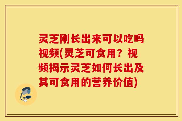 灵芝刚长出来可以吃吗视频(灵芝可食用?视频揭示灵芝如何长出及其可食用的营养价值)-第1张图片-灵芝之家 灵芝刚长出来可以吃吗视频(灵芝可食用?视频揭示灵芝如何长出及其可食用的营养价值)-第1张图片-灵芝之家