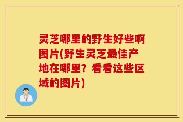 灵芝哪里的野生好些啊图片(野生灵芝最佳产地在哪里?看看这些区域的图片)-第1张图片-灵芝之家 灵芝哪里的野生好些啊图片(野生灵芝最佳产地在哪里?看看这些区域的图片)-第1张图片-灵芝之家