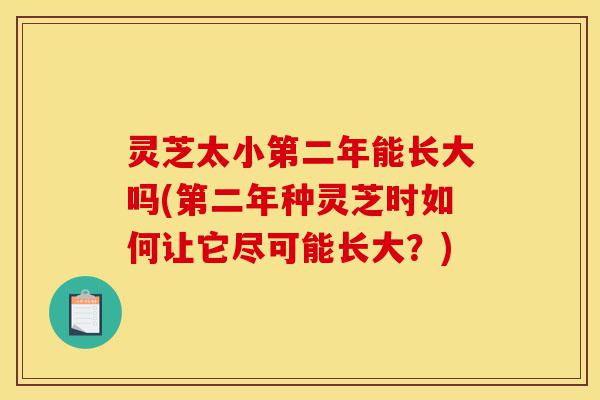 灵芝太小第二年能长大吗(第二年种灵芝时如何让它尽可能长大？)-第1张图片-灵芝之家