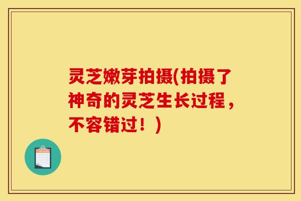 灵芝嫩芽拍摄(拍摄了神奇的灵芝生长过程,不容错过!)-第1张图片-灵芝之家 灵芝嫩芽拍摄(拍摄了神奇的灵芝生长过程,不容错过!)-第1张图片-灵芝之家
