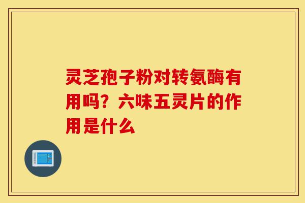 灵芝孢子粉对转氨酶有用吗?六味五灵片的作用是什么-第1张图片-灵芝之家 灵芝孢子粉对转氨酶有用吗?六味五灵片的作用是什么-第1张图片-灵芝之家