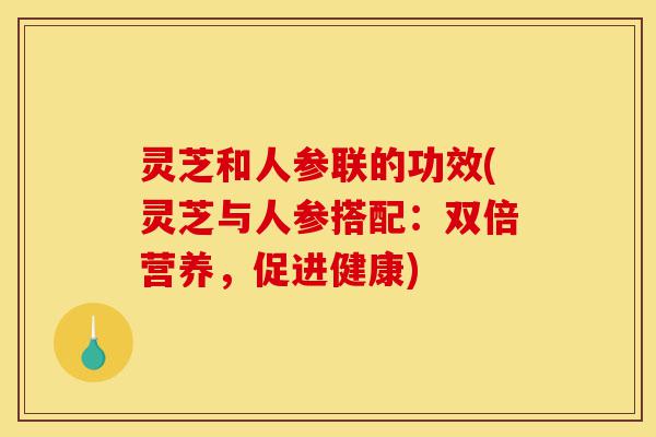 灵芝和人参联的功效(灵芝与人参搭配:双倍营养,促进健康)-第1张图片-灵芝之家 灵芝和人参联的功效(灵芝与人参搭配:双倍营养,促进健康)-第1张图片-灵芝之家
