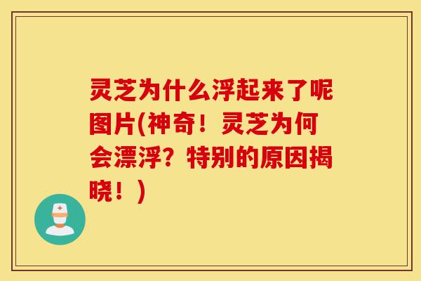 灵芝为什么浮起来了呢图片(神奇!灵芝为何会漂浮?特别的原因揭晓!)-第1张图片-灵芝之家 灵芝为什么浮起来了呢图片(神奇!灵芝为何会漂浮?特别的原因揭晓!)-第1张图片-灵芝之家
