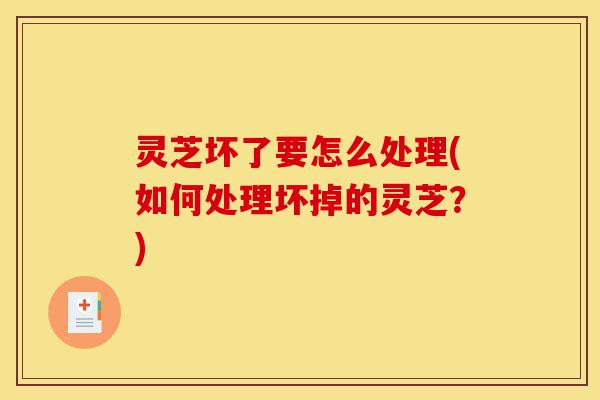 灵芝坏了要怎么处理(如何处理坏掉的灵芝？)-第1张图片-灵芝之家