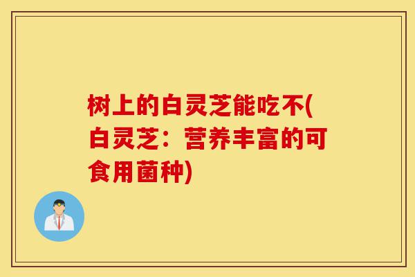 树上的白灵芝能吃不(白灵芝:营养丰富的可食用菌种)-第1张图片-灵芝之家 树上的白灵芝能吃不(白灵芝:营养丰富的可食用菌种)-第1张图片-灵芝之家