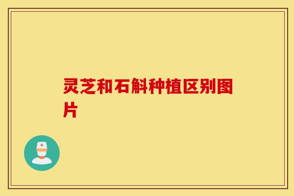 灵芝和石斛种植区别图片-第1张图片-灵芝之家 灵芝和石斛种植区别图片-第1张图片-灵芝之家