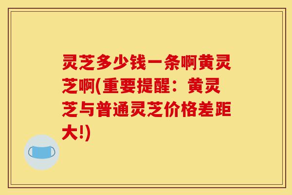 灵芝多少钱一条啊黄灵芝啊(重要提醒：黄灵芝与普通灵芝价格差距大!)-第1张图片-灵芝之家