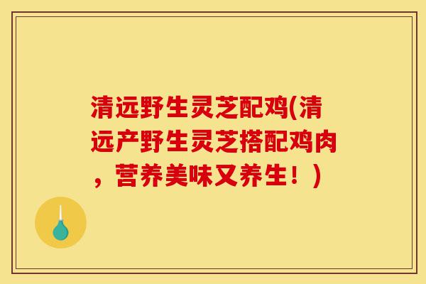 清远野生灵芝配鸡(清远产野生灵芝搭配鸡肉,营养美味又养生!)-第1张图片-灵芝之家 清远野生灵芝配鸡(清远产野生灵芝搭配鸡肉,营养美味又养生!)-第1张图片-灵芝之家