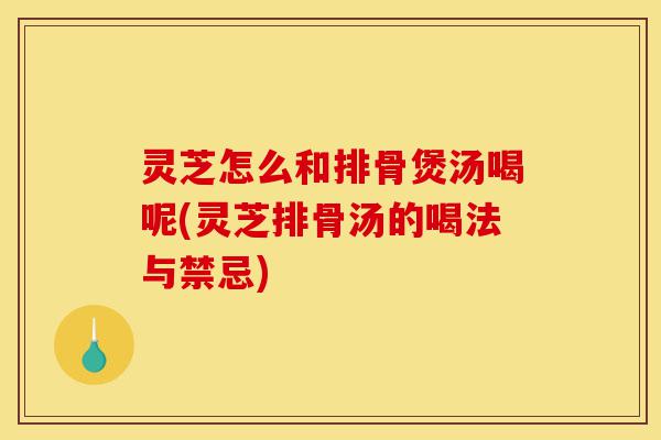 灵芝怎么和排骨煲汤喝呢(灵芝排骨汤的喝法与禁忌)-第1张图片-灵芝之家