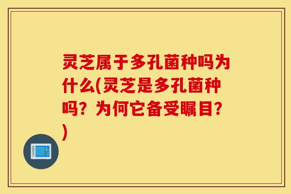 灵芝属于多孔菌种吗为什么(灵芝是多孔菌种吗?为何它备受瞩目?)-第1张图片-灵芝之家 灵芝属于多孔菌种吗为什么(灵芝是多孔菌种吗?为何它备受瞩目?)-第1张图片-灵芝之家
