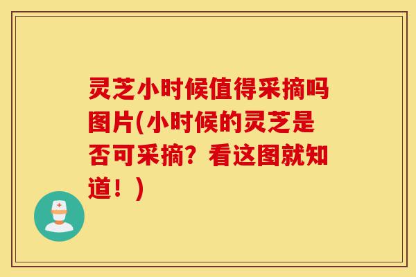 灵芝小时候值得采摘吗图片(小时候的灵芝是否可采摘？看这图就知道！)-第1张图片-灵芝之家