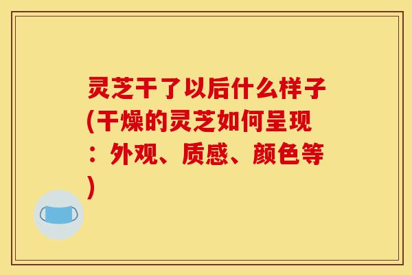 灵芝干了以后什么样子(干燥的灵芝如何呈现:外观、质感、颜色等)-第1张图片-灵芝之家 灵芝干了以后什么样子(干燥的灵芝如何呈现:外观、质感、颜色等)-第1张图片-灵芝之家