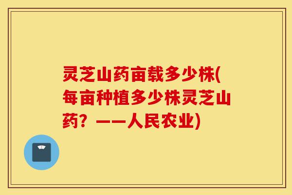 灵芝山药亩载多少株(每亩种植多少株灵芝山药?——人民农业)-第1张图片-灵芝之家 灵芝山药亩载多少株(每亩种植多少株灵芝山药?——人民农业)-第1张图片-灵芝之家
