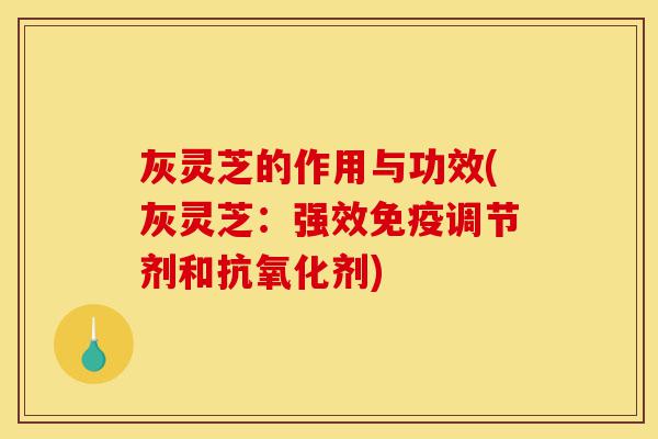 灰灵芝的作用与功效(灰灵芝:强效免疫调节剂和抗氧化剂)-第1张图片-灵芝之家 灰灵芝的作用与功效(灰灵芝:强效免疫调节剂和抗氧化剂)-第1张图片-灵芝之家