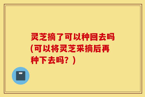 灵芝摘了可以种回去吗(可以将灵芝采摘后再种下去吗?)-第1张图片-灵芝之家 灵芝摘了可以种回去吗(可以将灵芝采摘后再种下去吗?)-第1张图片-灵芝之家