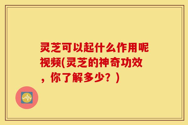 灵芝可以起什么作用呢视频(灵芝的神奇功效,你了解多少?)-第1张图片-灵芝之家 灵芝可以起什么作用呢视频(灵芝的神奇功效,你了解多少?)-第1张图片-灵芝之家