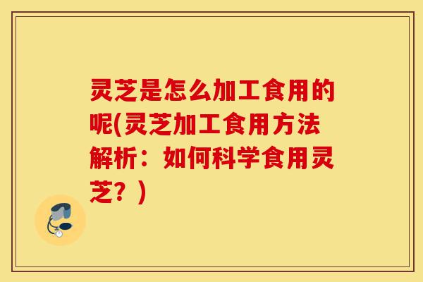 灵芝是怎么加工食用的呢(灵芝加工食用方法解析:如何科学食用灵芝?)-第1张图片-灵芝之家 灵芝是怎么加工食用的呢(灵芝加工食用方法解析:如何科学食用灵芝?)-第1张图片-灵芝之家